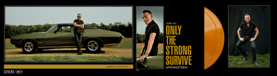 Bruce Springsteen Strong Survive